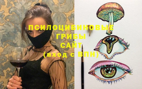 Альфа ПВП Алексин