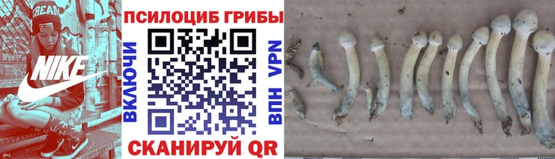 Галлюциногенные грибы MAGIC MUSHROOMS  Ефремов 