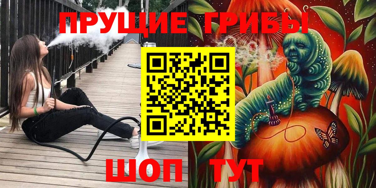 Псилоцибиновые грибы Psilocybe  хочу наркоту  Псилоцибиновые грибы Psilocybine cubensis  Ефремов  Вход с VPN 