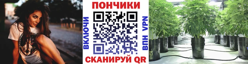 Каннабис SATIVA & INDICA  где найти   blacksprut маркетплейс  Ефремов 